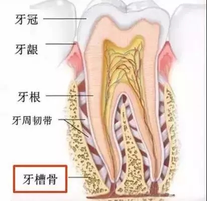 25岁还可以矫正牙齿吗