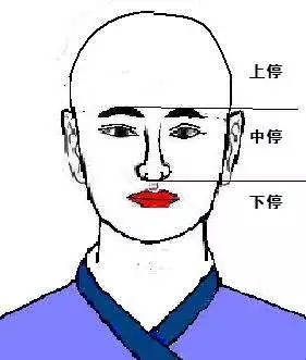 看牙齿要看下停