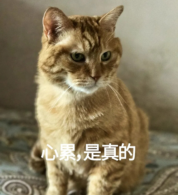 每天刷牙牙齿还变坏？原来是这一步没做好