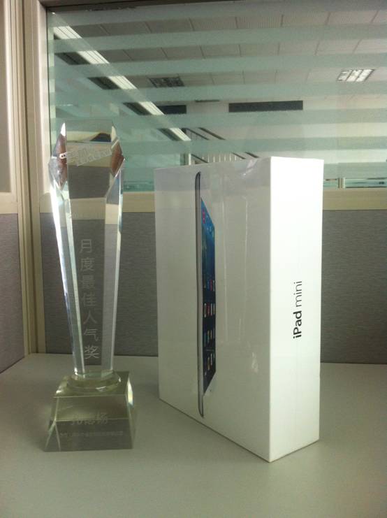 美加奖品IPADmini \
